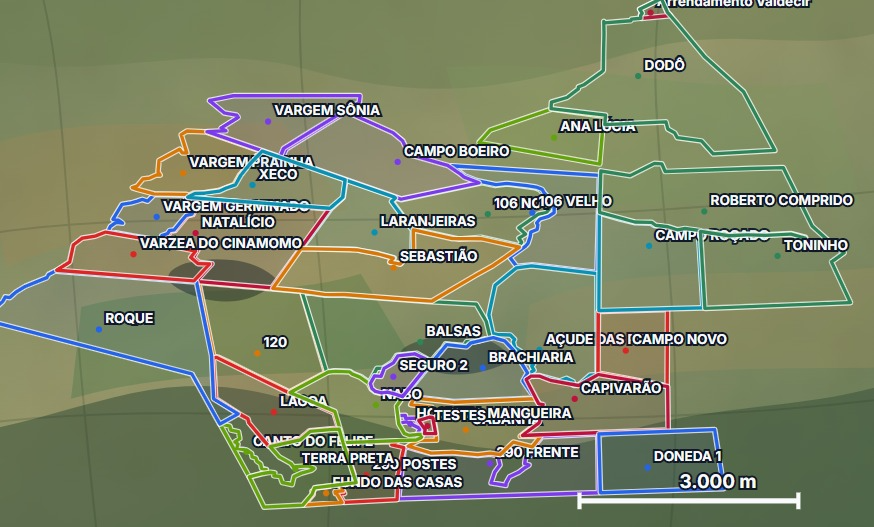 Mapa das áreas da Fazenda Don Plinio